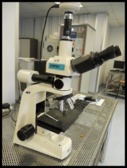 31. Optical Microscopy Model FT7100